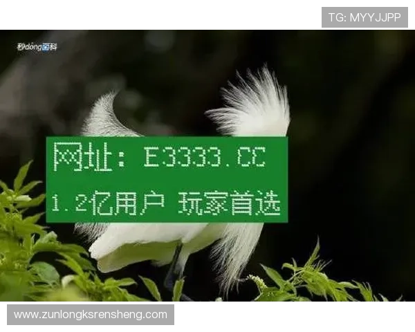 凯时网址官方网站官方平台，提供便捷的注册与在线娱乐服务