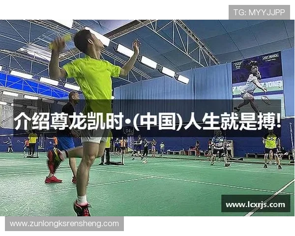 尊龙凯时完美体育平台网页版：平台界面操作指南与用户体验优化建议