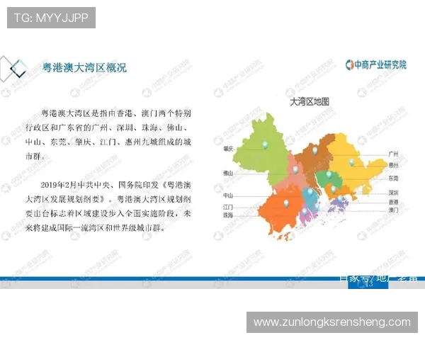 尊龙集团(Z6)在房地产行业的投资策略与市场前景分析