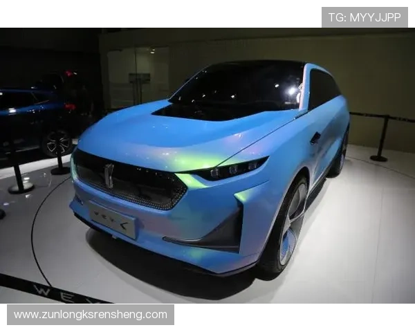 尊龙z6豪华SUV，开启尊贵驾驶新体验，尽显都市精英风范