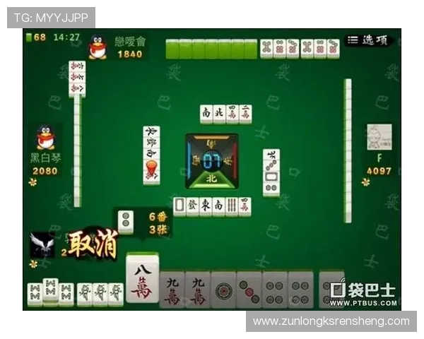 尊龙网投：多样化游戏类型介绍及玩法技巧分享