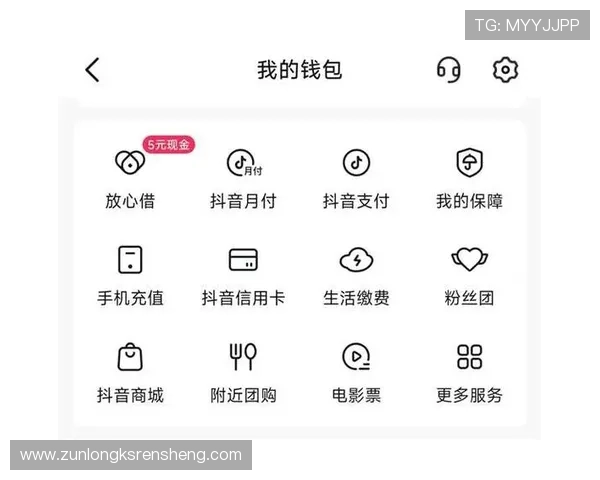 Z6尊龙备用平台支持多种支付方式，快速充值提现让玩家体验更加便捷顺畅