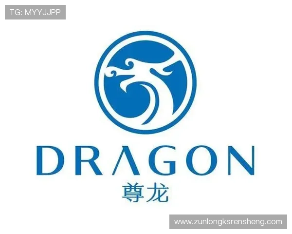 尊龙凯时网站登录安全保障措施全面解析确保玩家账号信息安全的实用技巧