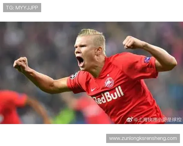 用户如何评价z6尊龙手机：真实反馈与使用感受全揭秘