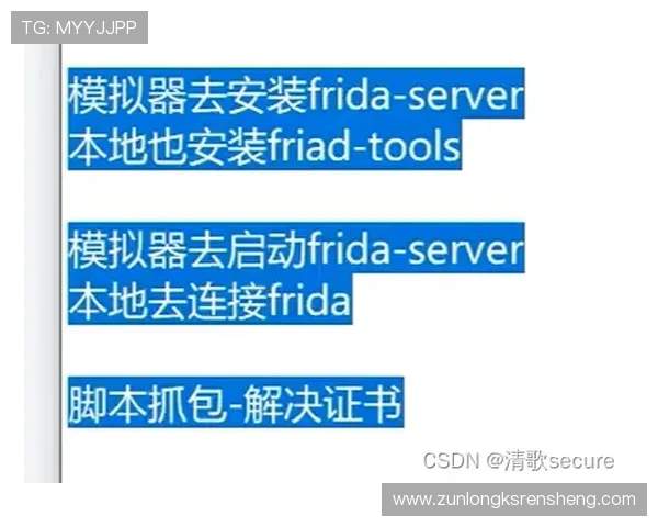 凯时KS旗舰网站最新安全防护措施介绍确保玩家个人信息与资金安全无忧